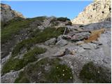 Lienzer Dolomitenhütte - Kleine Gamswiesenspitze